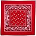 Red Fabric Bandana - 20