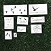 Tattify Quote Temporary Tattoos - Bird is the Word (Complete Set of 18 Tattoos - 2 of each Style) - Individual Styles Available - Fashionable Temporary Tattoos