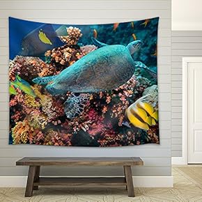 Colorful Underwater Offshore Rocky Reef with Coral and sponges and Small Tropical Fish Swimming by in a Blue Ocean - Fabric Wall Tapestry Home Decor - 51x60 inches