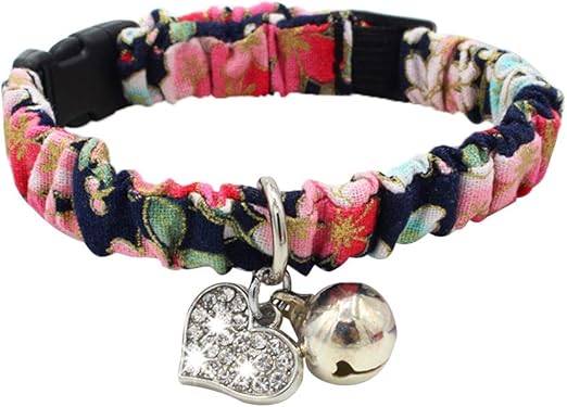 pug with separation anxiety