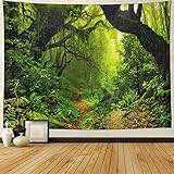 Rainforest Landscape Tapestry Forest Road Tapestry Wall Hanging Trees Tapestry Nature Misty Rainforest Tapestry Bohemian Psychedelic Wall Tapestry for Bedroom Living Room Dorm(Rainforest,59"x 82")