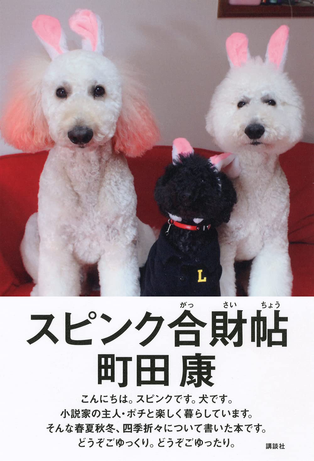 スピンク合財帖 町田 康 本 通販 Amazon