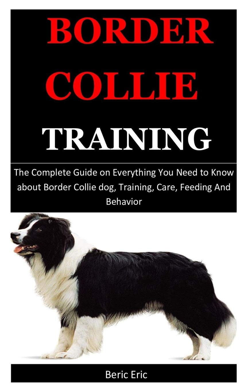 border collie training guide