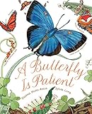 A Butterfly Is Patient