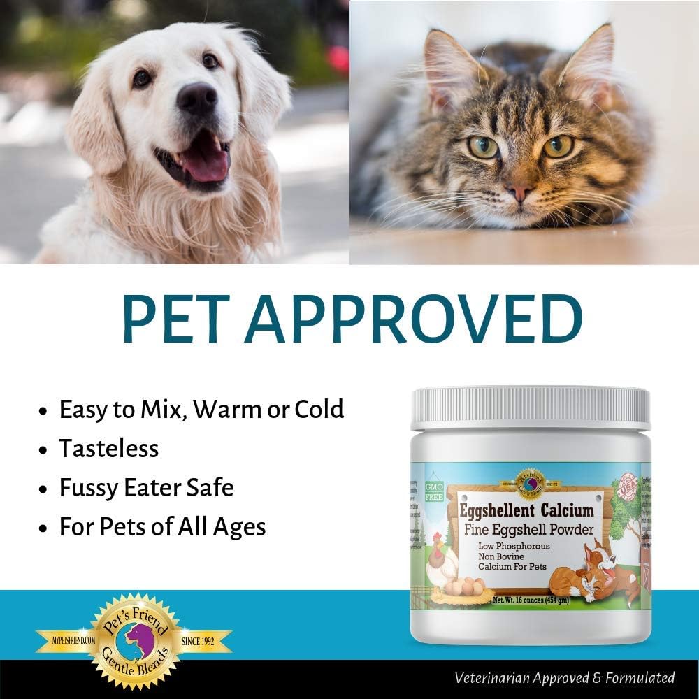 eggshell powder for cats
