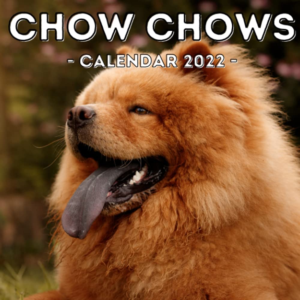 chow chow raincoat