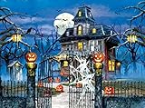 Welcome to our House 1000 Piece Jigsaw Puzzle by SunsOut