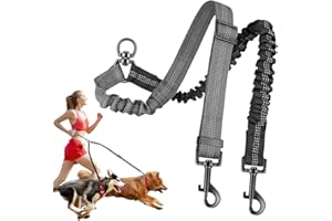 Zenvio Double Dog Leash for 2 Dogs No Tangle, 360° Rotatable Dual Laisse Double Pour 2 Chiens, Double Dog Leash, Adjustable L