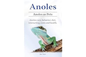 Anoles. Anoles as Pets. Anoles care, behavior, diet, interacting, costs and health.