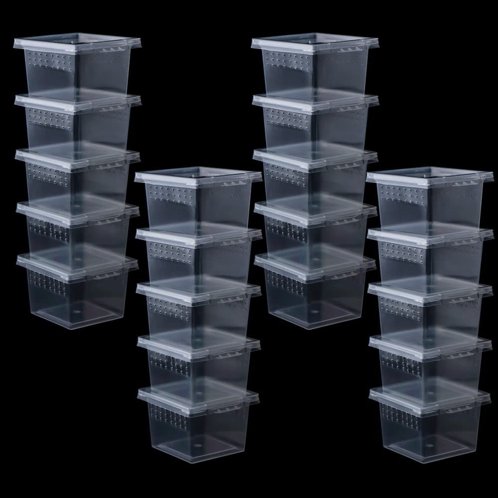 Mua 20 Pcs Spider Terrariums Breeding Box Hatching Container Acrylic ...
