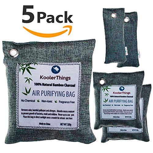 Best Charcoal Air Purifiers Buying Guide GistGear