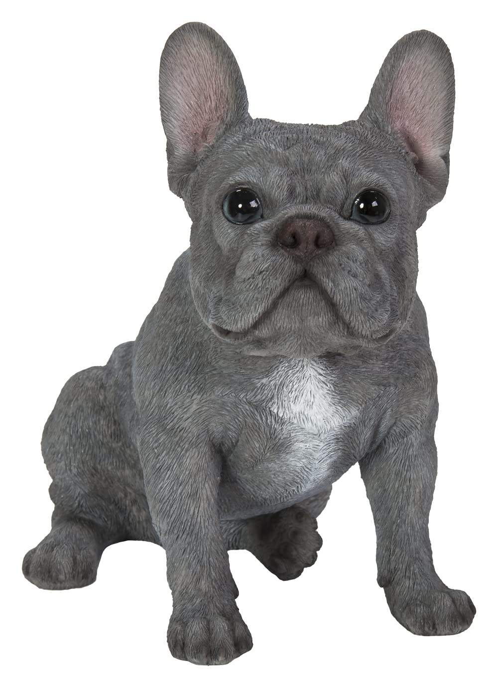 Vivid Arts (Blue French Bulldog Sitting