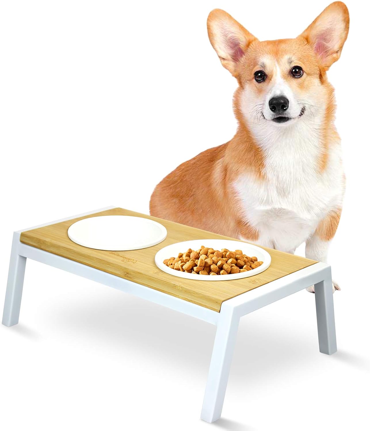 kmart elevated dog bowl