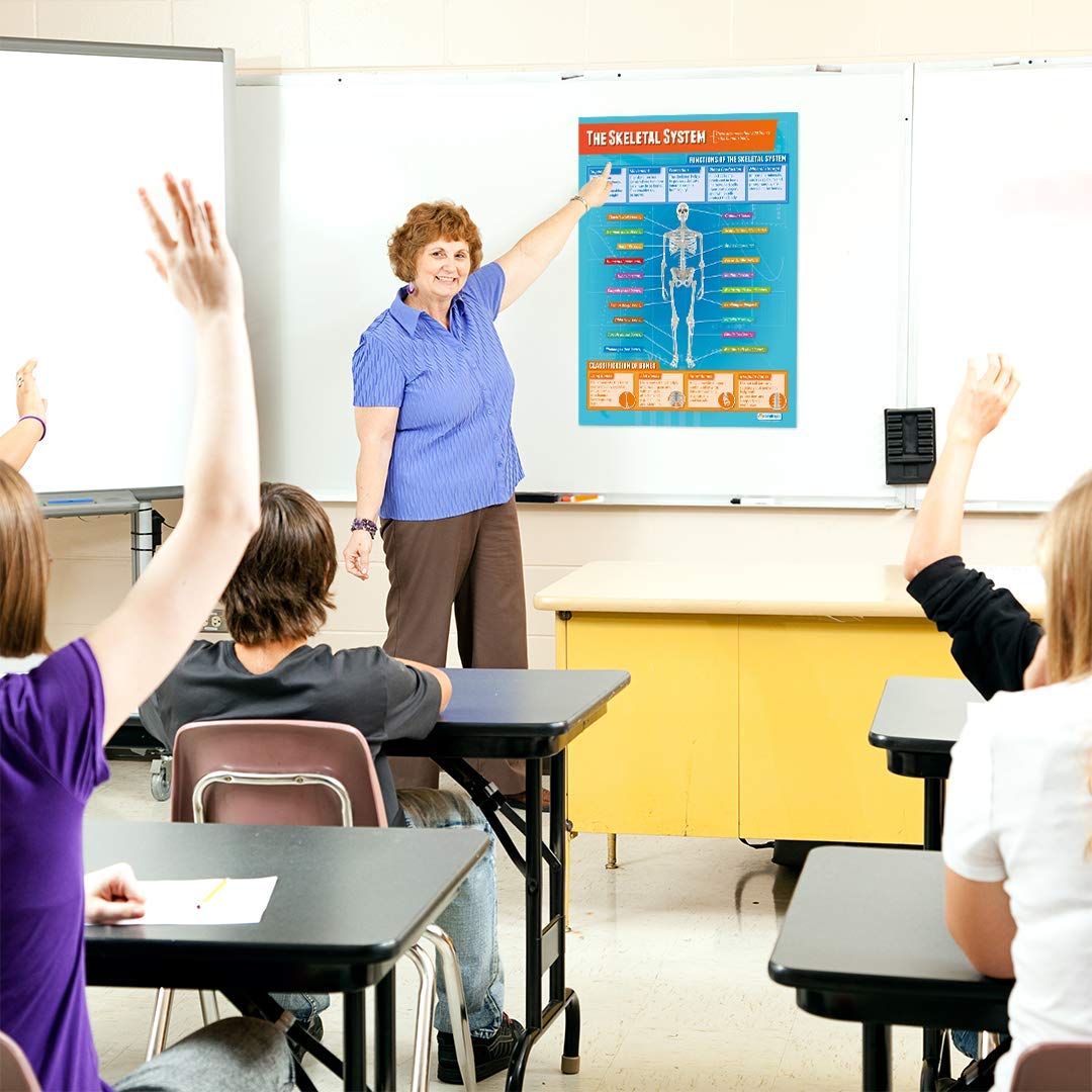 Higher education essay image