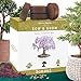 Nature's Blossom Bonsai Tree Kit. Grow 4 Types of Miniature Trees From Seed. A Complete Indoor Gardening Seed Starter Set with Organic Tree Seeds, Soil, Planting Pots, Plant Labels and Growing Guide primary