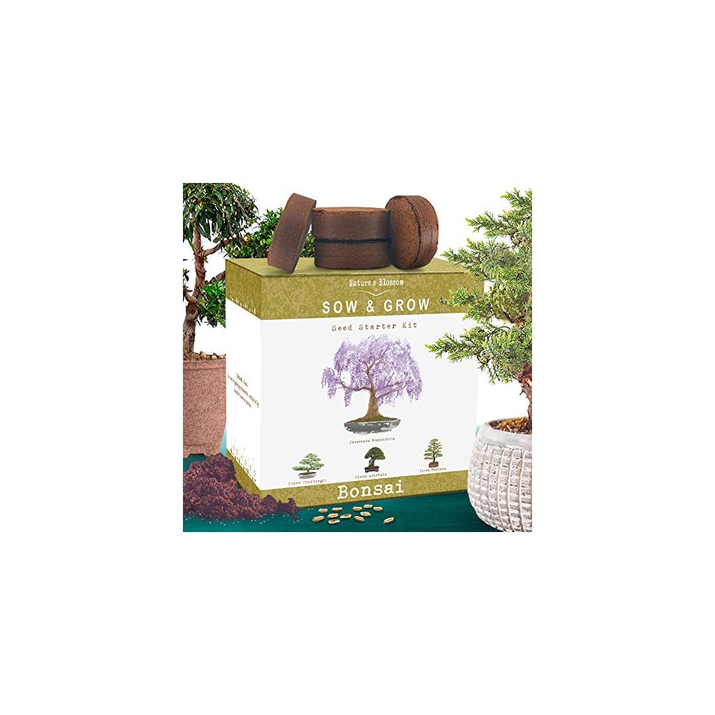 Nature’s Blossom Bonsai Tree Kit, Grow 4 Types of Bonsai Trees from