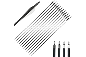 IRQ Archery 32Inch Carbon Arrow Practice Hunting Arrows with Removable Tips for Compound & Recurve Bow(Pack of 12)