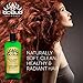 Hemp & Omega 3 Botanical Shampoo, Sulfate Free, SLS Free, for Itchy Scalp, Oily, Thinning, Color Treated Hair, Volumizing for Soft, Healthy, Shiny Hair, with Natural Hemp Seed Oil, Aloe (Single)