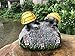 Solar Powered 2 Baby Turtles on Stone Outdoor Accent Lighting LED Garden Light Decor