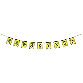 University of Iowa Tailgate Banner by Hanna’s Handiworks – Lightweight Pre-Strung Fabric Decoration for Indoor or Outdoor – Represent your NCAA College & Show Team Spirit with UI Fan Décor