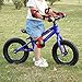 Diwenhouse Kids Balance Bike - Toddler Training Balance Bike No Pedal for Boys and Girls Ages 2 to 6 Years Include 12 inch Inflatable Wheels, Bicycle Pump, Helmet, Bell and Protective Kits (Blue)