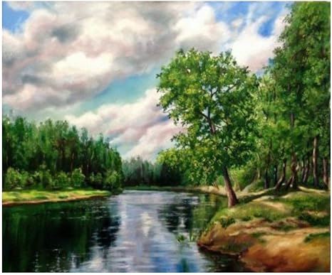 Amazon Co Jp 数字による夏雲油絵cuadros Decoracionアクリル絵の具でキャンバスにアートワーク24x30inch 60x75cm ホーム キッチン