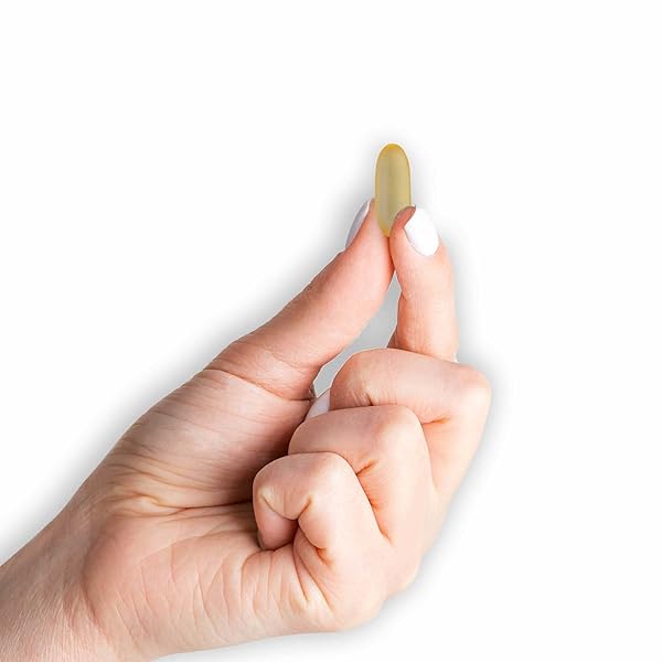 MASON NATURAL NO BURP FISH OIL 1000 MG OMEGA-3 300 MG, 100 SOFTGELS
