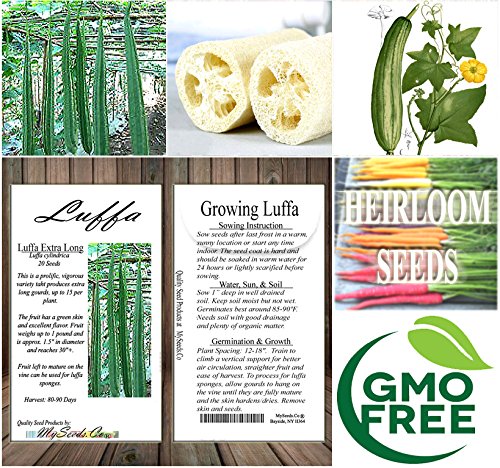 8 x Asian Vegetable Seeds Combo - Bitter Melon, Calabash, Kai LAN, Choy Sum, Luffa, Michihili, Tat SOI, Winter Melon - by MySeeds.Co - Thumbnail 5