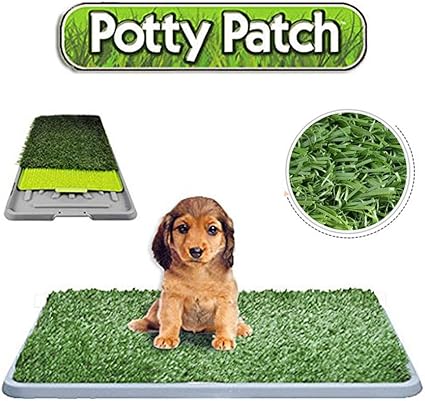Huisdier Hond Binnen Potty Hond Gras Mat Trainingsmat Huisdier Niet Giftige Synthetische Mat Zien Zijn Op Tv 68 43cm Amazon Nl