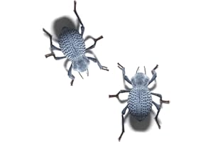 SURMEN LEGACY Blue Death Feigning Beetle (Group of 3) - Fun and Easy to Care for - Live Ironclad Beetle! - BDFB - Asbolus verrucosus
