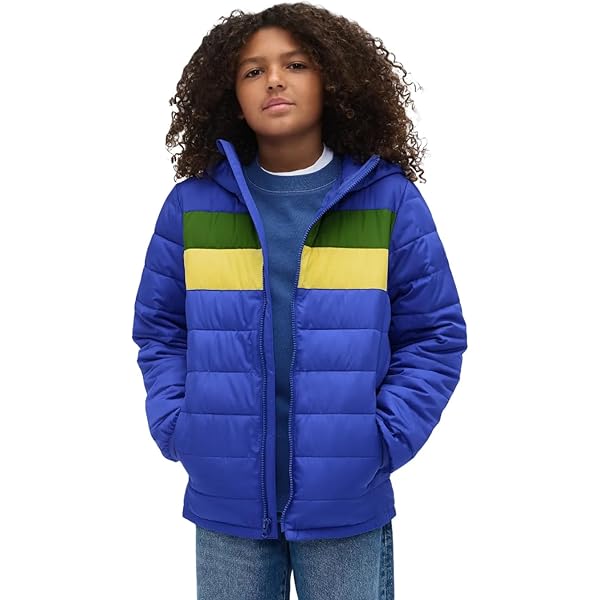 Amazon.com: Adidas Boys' Hooded Puffer Jacket, Brite Blue, XX