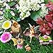 Mood Lab Fairy Garden - Miniature Figurines and Accessories Starter Kit - Hand Painted Fairy Garden Set for Outdoor or House Decor