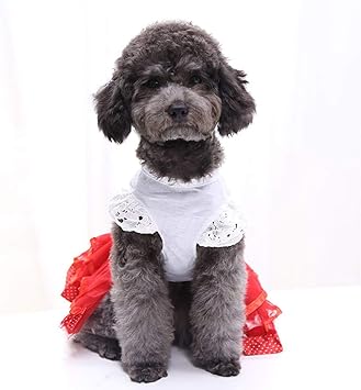 Amazon Ponacat 犬服 犬 ドレス ペットのドレス ワンピース 高級手作り お姫様スカート かわいい服 子犬 犬 猫 ソフト プレゼント 散歩 お出かけ ペット用品 Ponacat ドレス ワンピース 通販