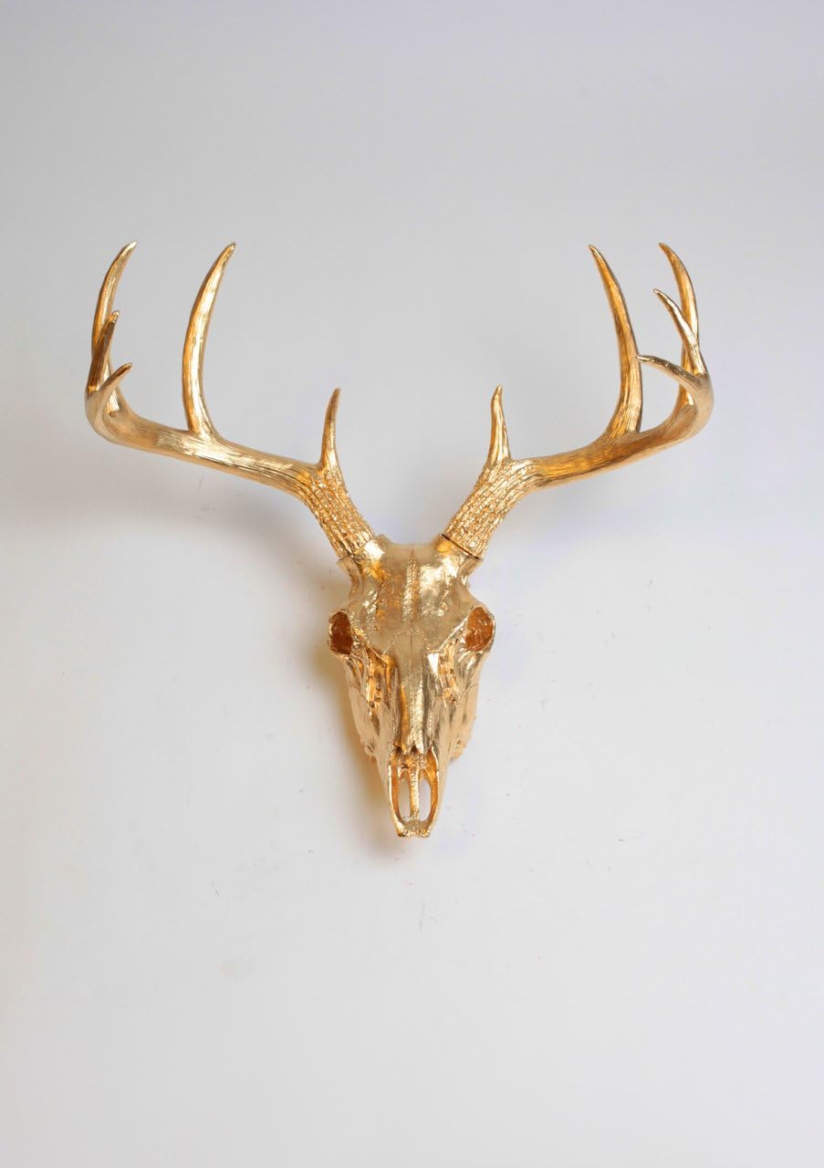 Amazon Com White Faux Taxidermy Gold Deer Skull Gold Resin