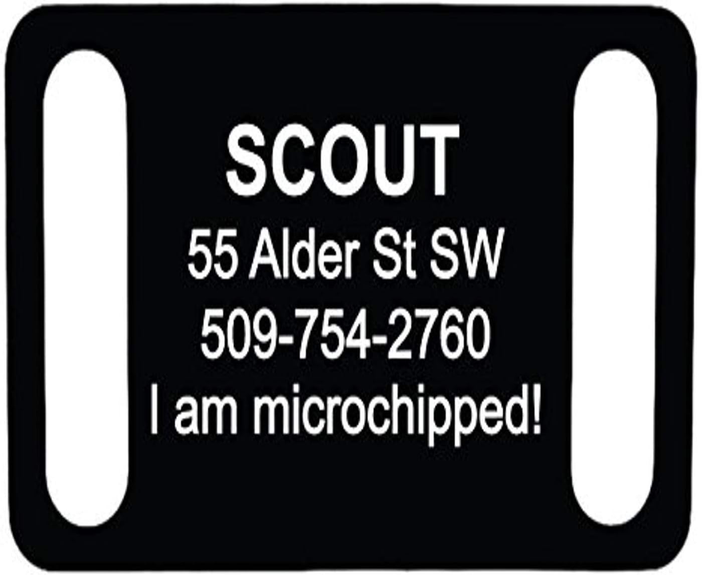 GoTags Pet ID Personalized Slide-On Collar Tags. Silent, No Noise, Custom Engraved Pet ID Tags for Dogs and Cats. Various Colors and Sizes.