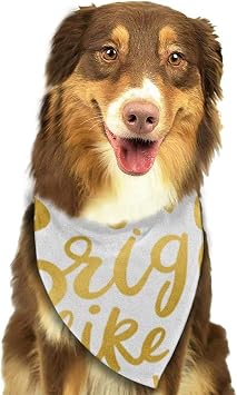 Yagead Chien Bandana Chiot Et Bandanas Pour Animaux De Compagnie Citation Brillante Comme Un Mur De Diamants En Or Or Slogan Sparkle Pet Scarf Amazon Fr Animalerie