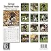 2024 2025 German Shorthair Pointer Calendar - Dog Breed Monthly Wall Calendar - 12 x 24 Open - Thick No-Bleed Paper - Giftable - Academic Teacher's Planner Calendar Organizing & Planning - Made in USA