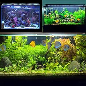 JOYHILL Illuminazione per Acquario, Plafoniera LED Acquario Dolce, Lampada LED per Acquario Luce Acquario 50-70cm