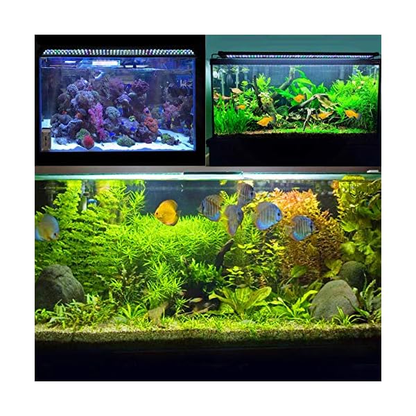 JOYHILL Illuminazione per Acquario, Plafoniera LED Acquario Dolce, Lampada LED per Acquario Luce Acquario 50-70cm