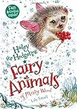 Hailey the Hedgehog: Fairy Animals of Misty Wood