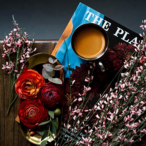 Café Royal Caramel Flavoured Edition, 100 Nespresso kompatible Kapseln, 10er Pack (10 x 10 Kaffeekapseln) – Bild 8