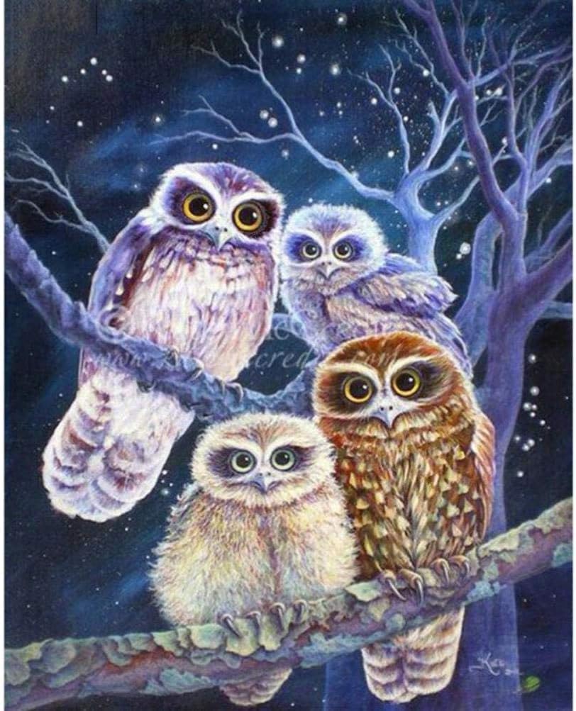 Gems Picture DIY 5D Diamond Painting Full Kits,Owl Cute Animal Rhinestone Embroidery Pictureskit Arts for Wall Art Decor,20×30Cm