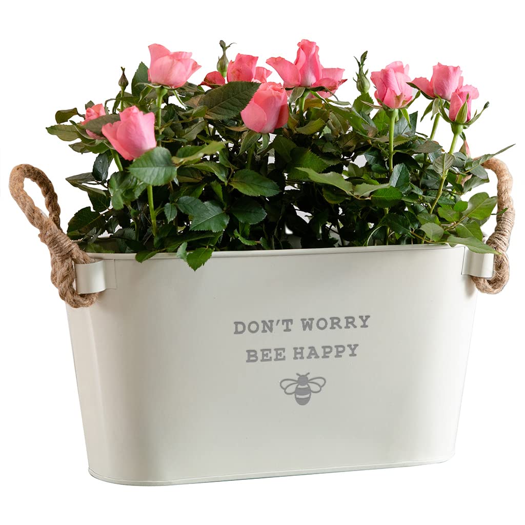 Dust and Things Engraved Metal Planter 'Don't Worry Bee Happy' - Unique Motivational Gifts for Her Women - Funny Plant Lovers Gift for Friends (Small Planter)
