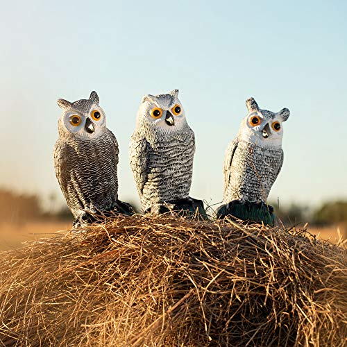 Fake Owl Decoy and Bird Deterrent Set of 3 Plastic Owl to Scare Birds