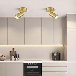 BOKT 1-Lights Modern LED Track Lighting Kit Brushed