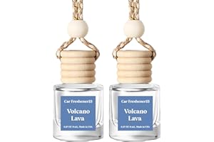 BURST BIRD Car Air Freshener Hanging,Cute Air Diffuser for Car, Long Lasting Car Air Fresheners, Car Fresheners for Women, Made in USA(2 Pack)