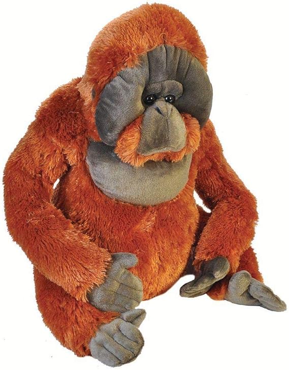 orangutan teddy