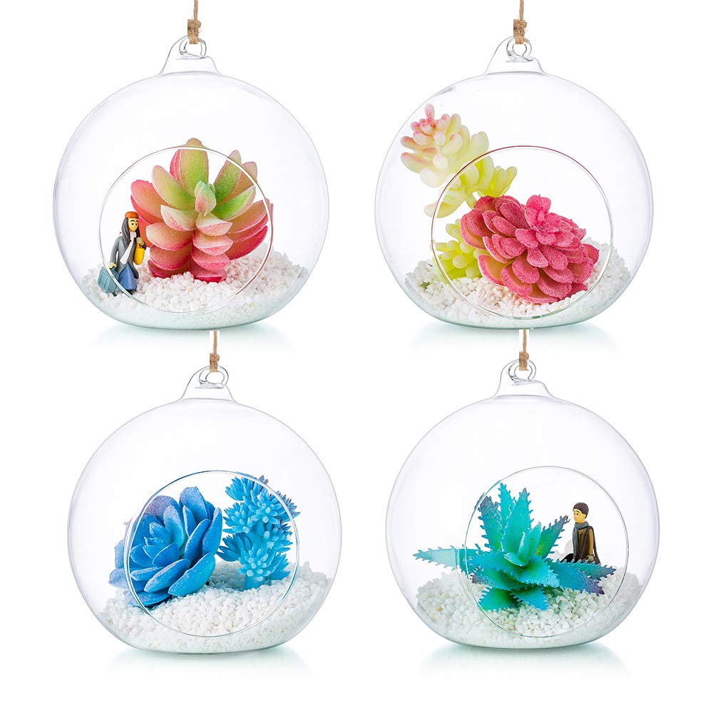 12cm Hanging Glass Globes Terrarium Orbs 4 Pcs Glass Planter Big Opening Air Fern Plants Vase Hanger for Home Party Wedding Garden DIY Design