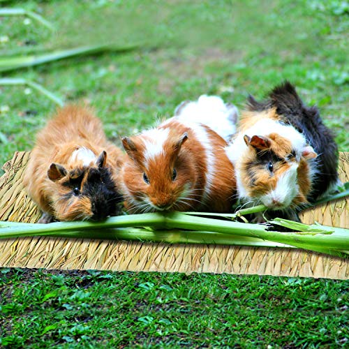 5 Pack Grass Mat Woven Bed Mat, Small Animal Natural Straw Bedding Nest Mat Chew Toys Bed Play Toy for Guinea Pig Parrot Rabbit Bunny Hamster Rat (3 Large 2 Small)