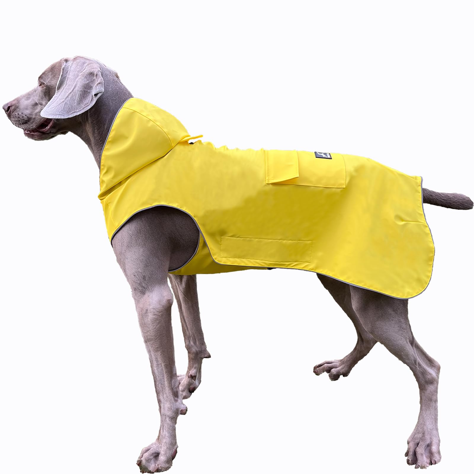 Not Stiffen Dog Raincoat Reflective, Adjustable, Easy Wear, from 2XSmall - 5XLarge Dogs, Soft Hand Feel Coating Raincoat for Outwear, Sports with Leash Hole (3XL)